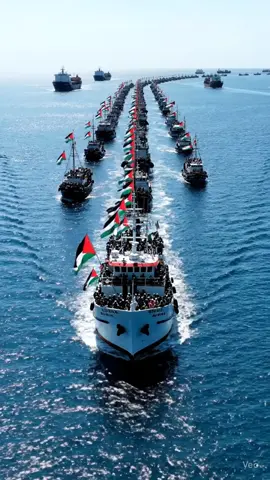 Support Global Sumud Flotilla free Palestine #freepalestine #globalsumudflotilla #support #help #palestine 