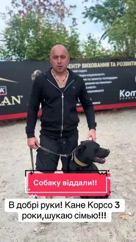 В добрі руки, безкоштовно віддають Кане Корсо - хлопчик 3 роки. #бойковалентин #кінологукраїна #компаньон #собакиодесса 