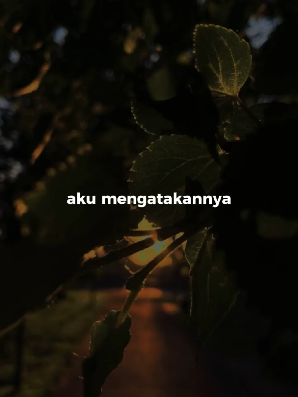 MImpi manis🤏#CapCut #overlay #liriklagu #templatelirik 