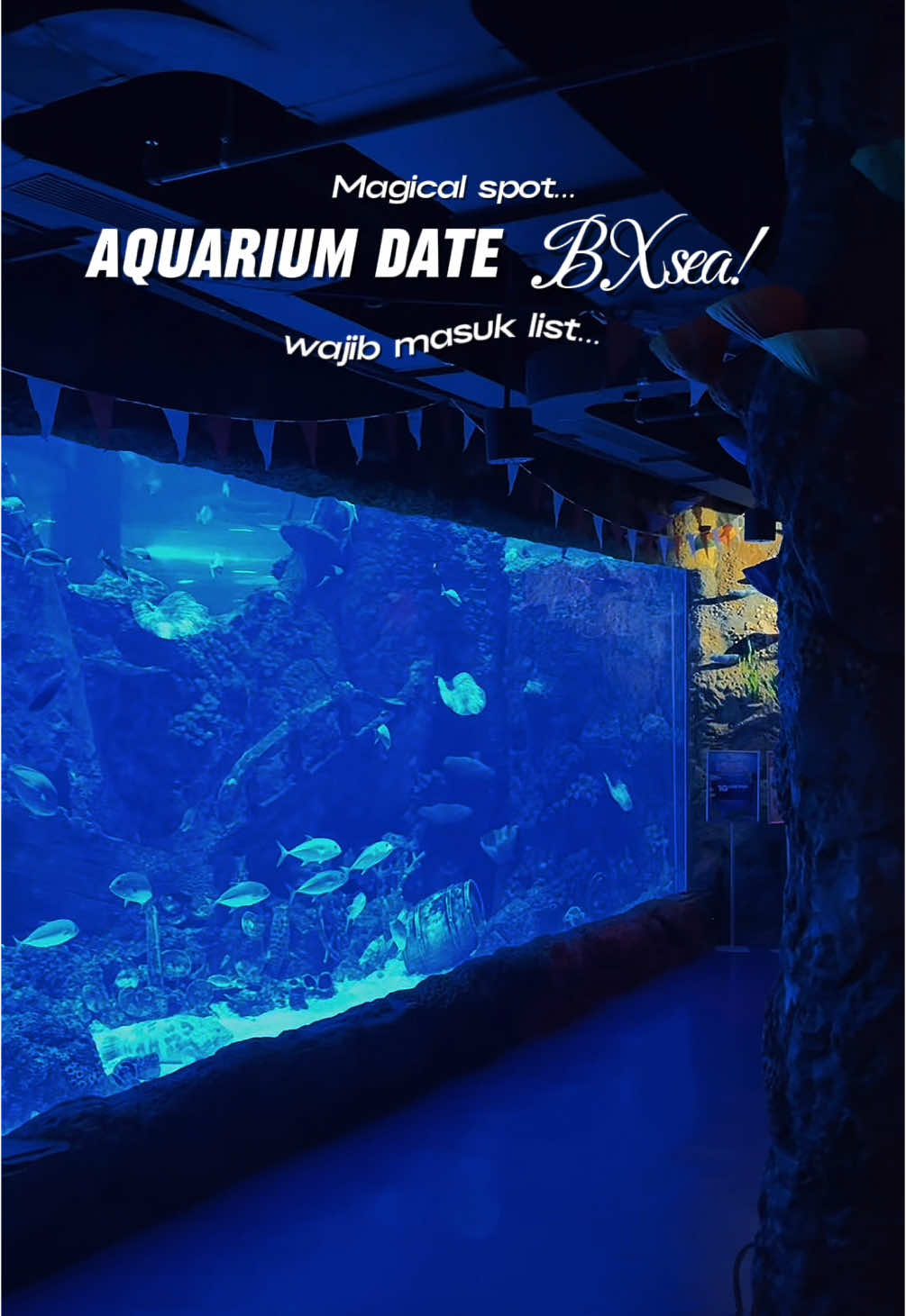 Best place nomor 1 buat nge date! No Debat 🫵 #goacademyatraksisep #jelajahakhirpekan #jelajahatraksiakhirpekan #aquariumdate #bxsea 