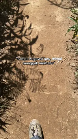 tulongg #foryoupage #pendakigunung #pendakiindonesia #tektok #merbabu #merbabumountain #fyp 