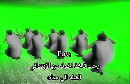 #رياكشنات_تفاحه🇦🇪 #ذبات 