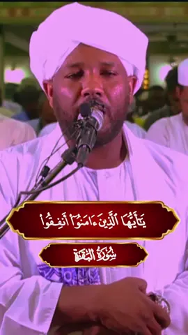 #القران_الكريم_راحه_نفسية #شيخ #الزين_محمد_احمد #البقره #لااله_الاالله_وحده_لاشريك_له_له_الملك #راحه_وطمأنينه_للقلب_ريح_مسمعك❤ #متابعة_قلب_تعليق_مشاركة_اكسبلورررر #صدقة🤲جارية 