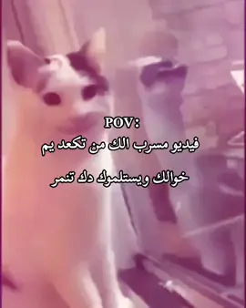 #مضحك😂 