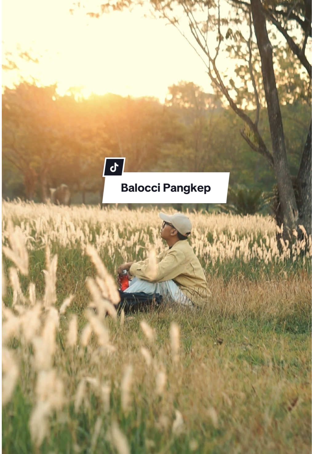 Padang ilalang alias rumput liar ini bisa jadi estetik kalau kamu pinter ambil angle gambarnya, walaupun aku ngontennya sama tripod tetap bisa estetik kok ,sebelum masuk musim hujan dan ilalangnya tumbang gass main kesini juga guys 🙌✨ #ilalang #masukberanda #zyxcba #pangkep #sulsel #foryoupagе #fyp 