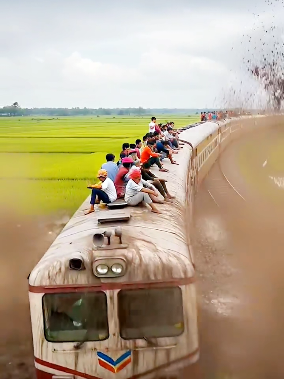Train Slips Off Tracks in Rice Fields!