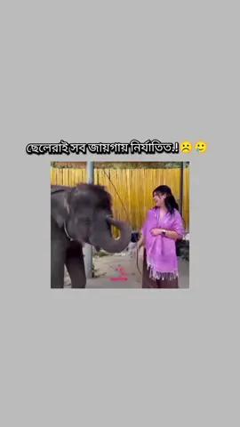 শেষ র্পযন্ত দেখো😫🤧🐸 #foryoupage #plz #fyppppppppppppppppppppppp #unfreezemyaccoun #tiktokoficial @TikTok @Official TikTok Affiliate ID 