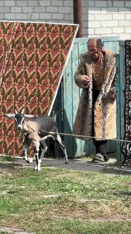 Мой ТГ в шапке профиля 