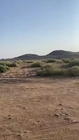 #اكسسسسسسسسسسسسسسبلورً🖤 #سمان 