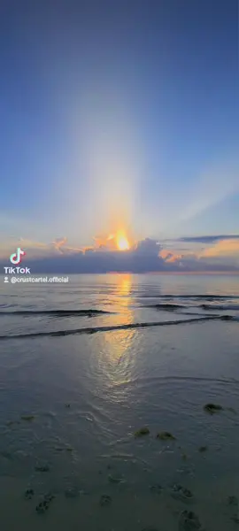 Good morning y'all! #floridalife #beachvibes #sunrise #trippiehooks  #beachlife 