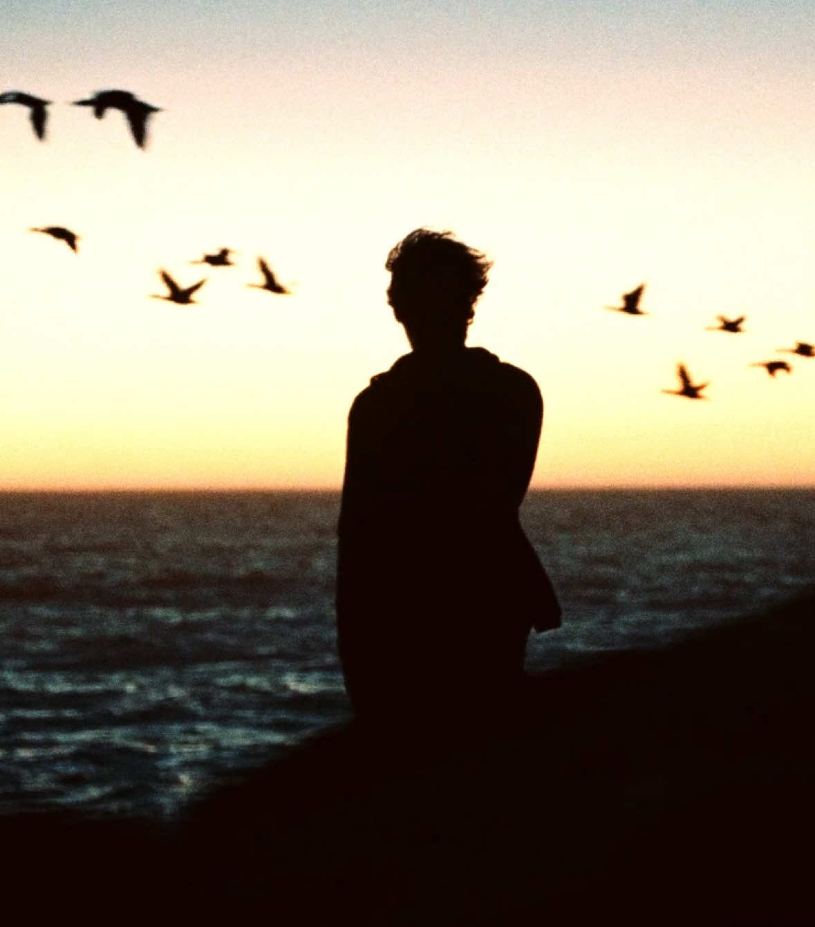 nights // #cinematic #travel #cinematography #frankocean #surfing 