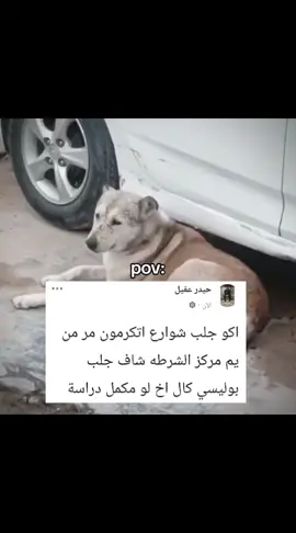 #ريكشنات_مضحكة #ترندات_تيك_توك #شعب_الصيني_ماله_حل😂😂 #مالي_خلق_احط_هاشتاقات 
