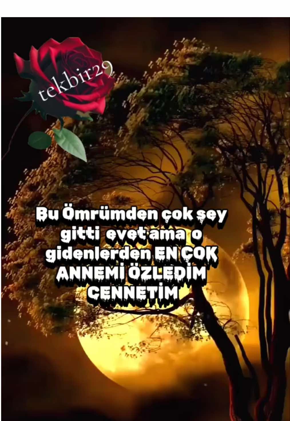#viral_video_tiktok_treding 