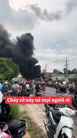 Cháy nhà chú sữa xe ở Thạnh Đức Gò Dầu#chay #chaynha #tayninh #godau #tayninh70 
