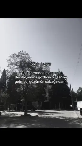 #xybca #fyppppppppppppppppppppppp 