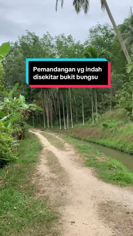 Betah bgt dngan suasana disini, jauh bgt dari hiruk pikuk nya dunia. Nyaman, sejuk dan tentu nyaa masyakrat nya yg ramah” #pemandangan #suasanakampung #suasanadesa #wisataviral #fyp 