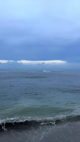 i could watch this all day #mulletrun #mullet #fishing #tarpon #snook 