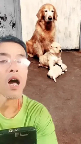 vào nhà thôi cát con ơi 😄🤣 #🤣🤣🤣  #xuhuong  #nhachaymoingay  #xuhuongtiktok 