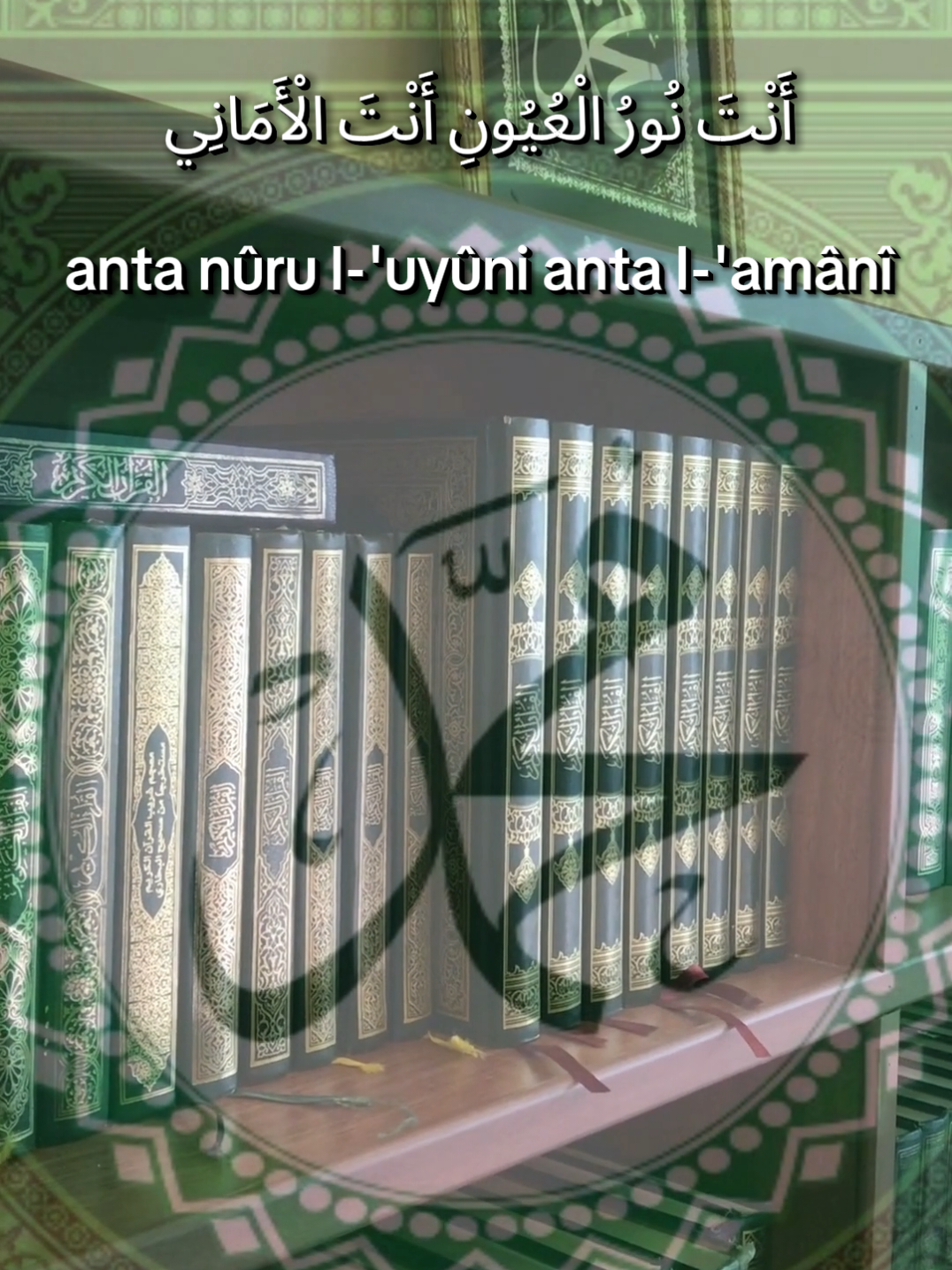 Anta Nurul Huyuni | Abdou Aziz Mbaye et Famille Moussé Alé Mbaye  #tidiane #talibei_cheikh #tivaouane #maodomalick #serignebabacarsy 