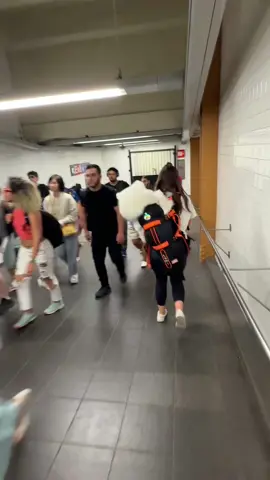 Dog in a backpack spotted 👀 #nyc #samoyed #dogsoftiktok #nycsubway 