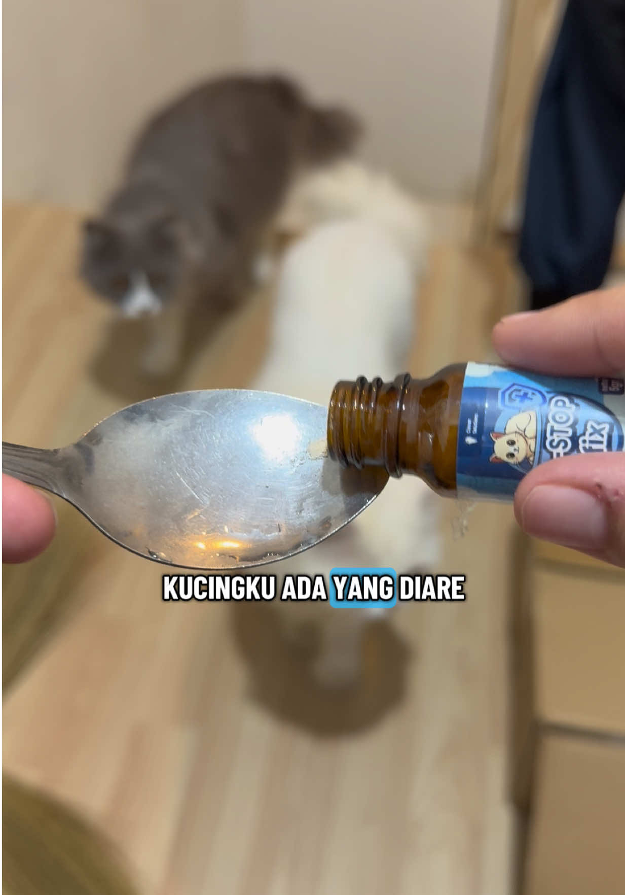 Baunya kucing diare emang ga enak banget 😩🙌🏻 . . #atasikucingdiare #dstopfix #viral #clever #obatdiarekucing @cleversolutions indonesia 