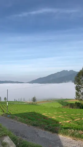Menemukan Lautan awan yang cantik di batu  #batu #puncak #lautanawan 