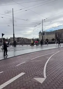 #هولندا🇳🇱 