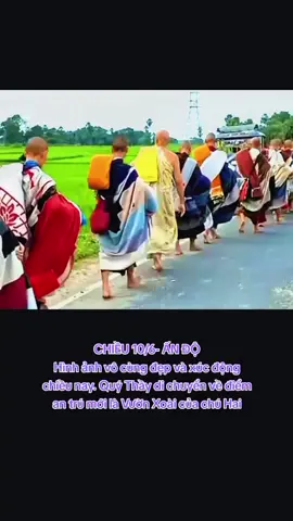 ###thầyminhtuệ #xuhuớng 
