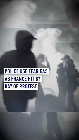Protesters from a new movement staged demonstrations across France with dozens of people arrested and security forces deployed. Information about Wednesday's 
