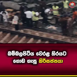 ජිවිතේ කොයි තරම් ප්‍රශ්න තිබ්බත් කොයි තරම් දේවල් තිබ්බත් මොන දේ නිසා මානසිකව වැටුණත් කවදාවත් ලේයින් මසින් වැඩුනු  කිරි සප්පයින්ගෙන්නම් පලිගන්න එපා… ජිවිතේ නැතිකරගන්න හිතෙයි… ඒ වුණත් හය හතර නොදත් තවමත් මේ ලෝ තලය ගැනවත් කිසිම දෙයක් නොදන්න අහිංසත කිරි සප්පයින්ගේ සිය ජිවිතේ නැති කරන්න එපා එච්චරයි…. Poddaiya-පොඩ්ඩයියා . . #poddaiyavlogger #poddaiyavlog #virajlansakara #tiktokviralfypシ #reelsfypシ        