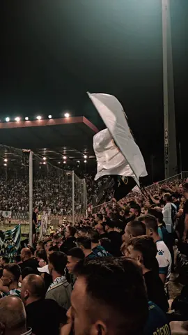 ⚜️ #bhfanaticos #bosna #austria #bilinopolje #zenica 