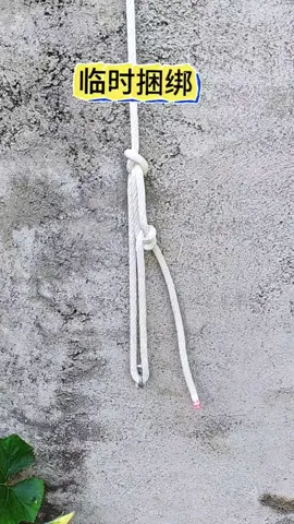 #manual #knot #fyp #foryou #tiktok 