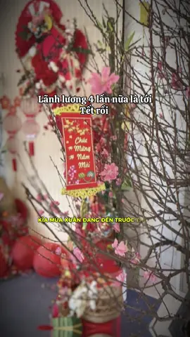 Lãnh lương 4 lần nữa tới Tết rồi #tetdoanvien #chucmungnammoi #nhachaymoingay #tetbinhngo2026 