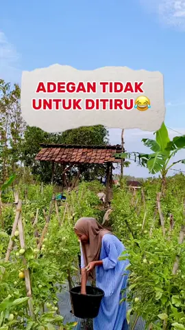 Tidak untuk ditiru🤣 #kontenhiburan #komedi #reelslucu #komedijawa #komedikocak 