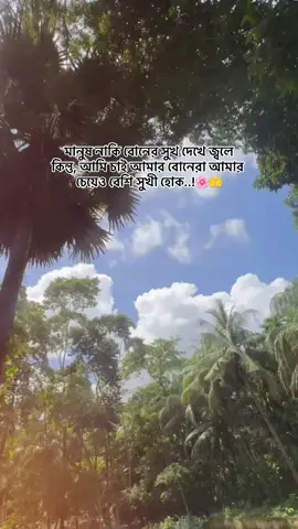 মানুষ নাকি বোনের সুখ দেখে জ্বলে কিন্তু, আমি চাই আমার বোনেরা আমার চেয়েও বেশি সুখী হোক..!🌸🤲#viral #foryou #tiktokofficial #viralvideo #fypppppppppppppppppppppp 