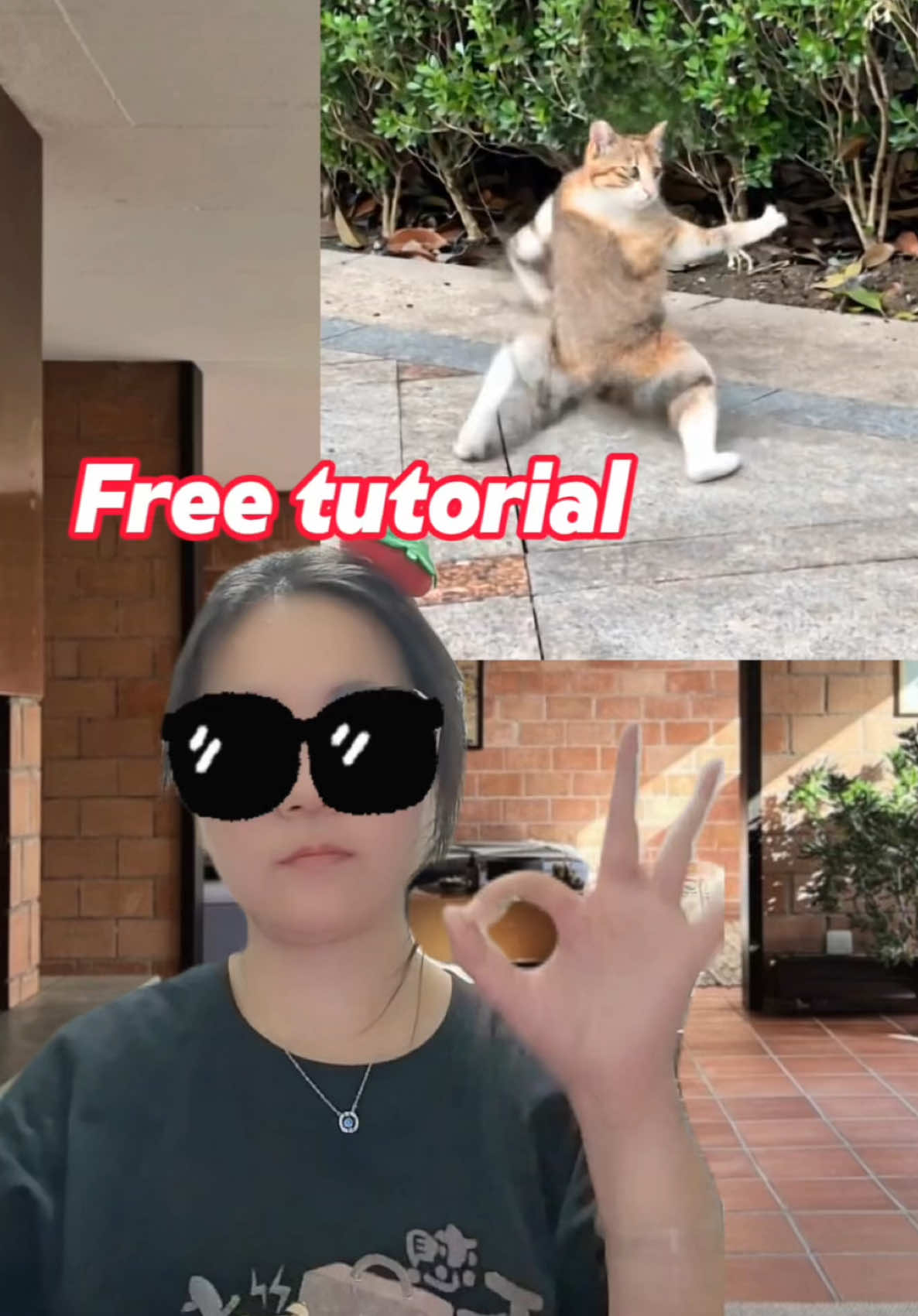 ai kungfu cat Filter effect tutorial  #aifilter #aikungfu  #capcutforus #capcut #capcutpioneer create ai kung fu hajimi cute cat video tutorial here comes the tutorial for making ai kung fu hajimi - hajimi is a popular internet term referring to cute cats tutorial for making ai kung fu cat videos generate ai kung fu hajimi cute cat content for free with one click famous scenes of kung fu cats how to make kung fu cat videos super cool videos of cats doing kung fu hajimi immortal - it’s a fun internet nickname for cats, personifying them as kung fu immortals hajimi music ai i can do kung fu too ai kung fu you've improved again hajimi immortal jimeng ai tutorial for making ai 