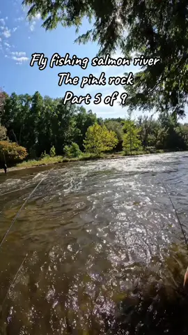 You know you have a good guide when they have a pink rock. #flyfishing #flyfishdelawhere #salmonfishing #fisherman #fishing 