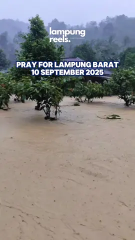 Pray For Lampung Barat, terjadi banjir bandang di pemangku Gunung Sari Pekon Banding Agung Kecamatan Suoh Lampung Barat rabu sore 10/09 Banjir dengan ketinggian 1 meter melanda daerah tersebut setelah hujan deras dari siang hari, dan pengakuan warga bahwa banjir baru terjadi kali ini Semoga tidak menelan korba jiwa dan cobaan ini segera selesai dan terselesaikan Dok : Warga #lampung #lampungreels 