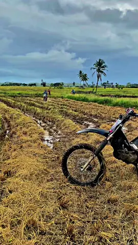 Gerimis tidak menghalangi , tapi membasahi 😂#fyp #berandatiktok #bismillahfyp #kurirpadi🌾 #taksigabah @AyashaMotor @Dandi-A.R-078 🏴‍☠️ @duding @wiwing_091@Dangdu, E 096# 