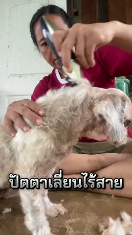 #ปัตตาเลี่ยนไร้สาย #ใช้ดีบอกต่อ #ก้อยชอบรีวิว❇️✅ #สินค้าดีใช้ดี⭐ 