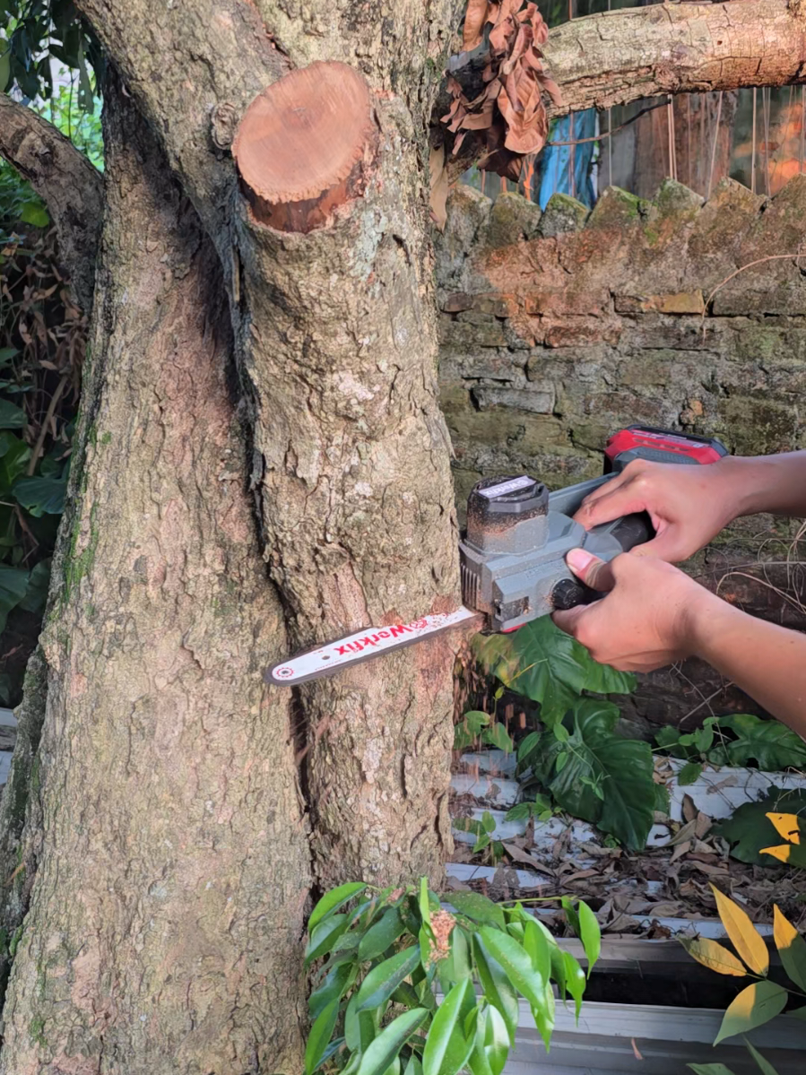 Mạnh bướng luôn - nhớt tự động #cuaworkfix #testcuaxich #cuaxichworkfix #cuaxich 