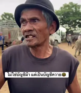 ไม่ใช่บัญชีม้า แต่เป็นบัญชีควาย #ผู้เฒ่าเล่าเรื่อง #จีบสาวซ่ำน้อย #ผู้เฒ่าขี้เหงา #ผู้เฒ่าขี้ดื้อ #ตั๋วตํารวจ 