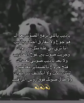 #الذيب_يايمه_عوا_سامري_حائل  #حايل #مساكم_سعادة_لاتنتهي 