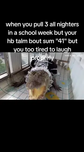 really bad try at this typa joke
