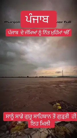 #lehndachardapunjab🇵🇰❤️🇮🇳 #punjabfloods2025 #prayforpunjab #merasohnapunjab🏡❤️ #waheguru_ji 