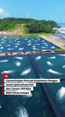 Ketahanan pangan jadi fokus Kementerian Imigrasi dan Pemasyarakatan lewat optimalisasi BLK Nusakambangan dan penanaman 360.000 bibit kelapa serentak di seluruh Indonesia.  Selengkapnya simak tayangan berikut! #Kemenimipas  #Ditjenpas  #Pemasyarakatan  #GuardandGuide 
