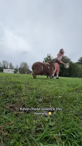 That’s Kevin’s yard 😂 @Barstool Outdoors (via:@Lunatic Asylum) 