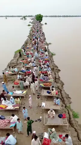 #PixVerse #ai #village #Flood #PakistanFloods #viralvideo #foryoupage #trending #viral #Foryou #flooddisaster #floodinpakistan #plzviral🥺🥺🙏🙏foryoupage #fyp 
