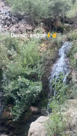 Dersim zağge #zağgerestaurant#✌️✌️✌️ #🙏🙏🙏 #fyp #keşfetteyizzz 