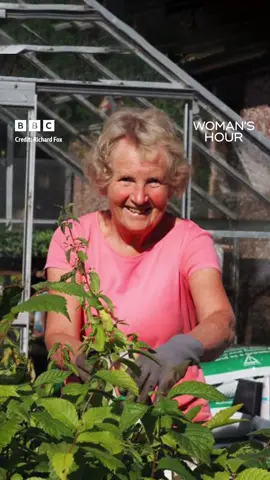 'What I can do is just a drop in the ocean, but an ocean is made up of lots of drops. So if other people could do something similar...' ❓Have you heard of Janet Willoner, aka the tree-growing granny? 👵🏼🌳 She’s grown more than 4,000 trees in her garden - all to help combat climate change. Janet forages for seeds, grows them, and then gifts them back to nature for them to grow in forests in her local area of North Yorkshire. After being nominated for the BBC’s Make a Difference Award in the Green category, she spoke to Nuala McGovern on Tuesday about her mission to grow 5,000 trees in 10 years - and why leaving behind a greener world matters so much to her 🌿 ❓What small changes have you made to help the planet? Let us know in the comments below ⬇️ Woman’s Hour | Listen on BBC Sounds 🎧 #bbcwomanshour #bbcsounds #trees